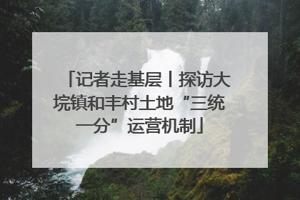 记者走基层丨探访大垸镇和丰村土地“三统一分”运营机制