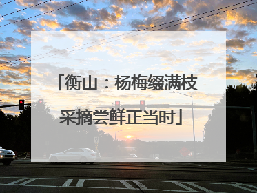 衡山：杨梅缀满枝 采摘尝鲜正当时