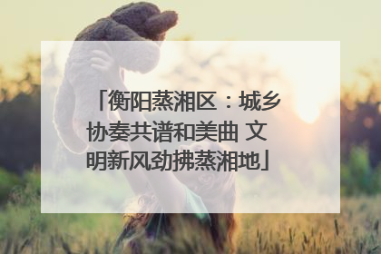 衡阳蒸湘区：城乡协奏共谱和美曲 文明新风劲拂蒸湘地