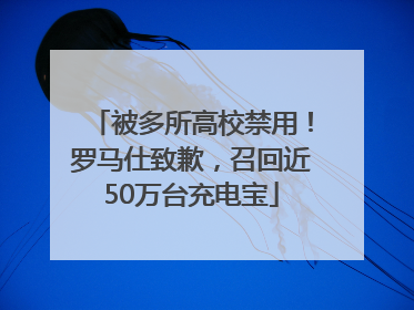 被多所高校禁用！罗马仕致歉，召回近50万台充电宝
