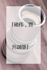 褚伟，晋升副部