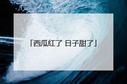 西瓜红了 日子甜了