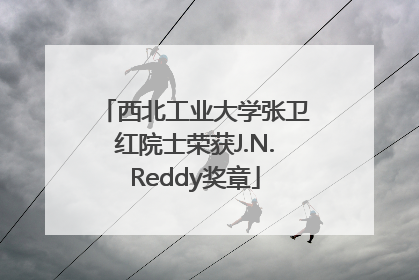 西北工业大学张卫红院士荣获J.N.Reddy奖章