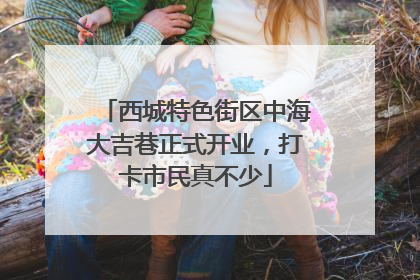 西城特色街区中海大吉巷正式开业，打卡市民真不少