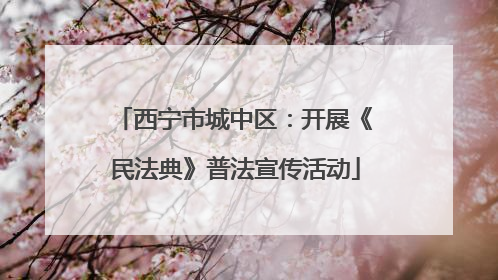 西宁市城中区：开展《民法典》普法宣传活动