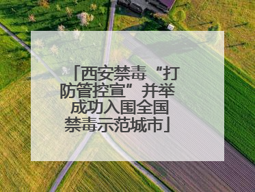 西安禁毒“打防管控宣”并举 成功入围全国禁毒示范城市