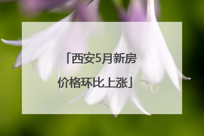 西安5月新房价格环比上涨