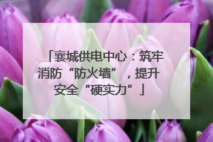 襄城供电中心：筑牢消防“防火墙”，提升安全“硬实力”