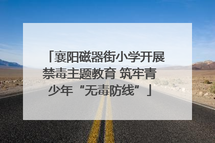 襄阳磁器街小学开展禁毒主题教育 筑牢青少年“无毒防线”
