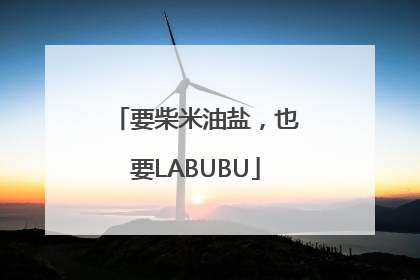 要柴米油盐，也要LABUBU