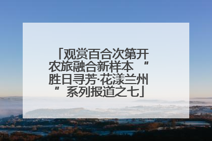 观赏百合次第开 农旅融合新样本 “胜日寻芳·花漾兰州”系列报道之七