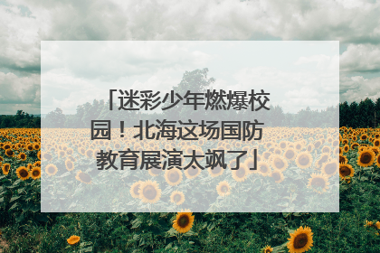 迷彩少年燃爆校园！北海这场国防教育展演太飒了