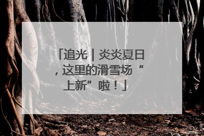 追光｜炎炎夏日，这里的滑雪场“上新”啦！