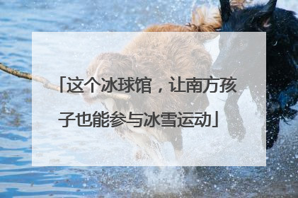 这个冰球馆，让南方孩子也能参与冰雪运动