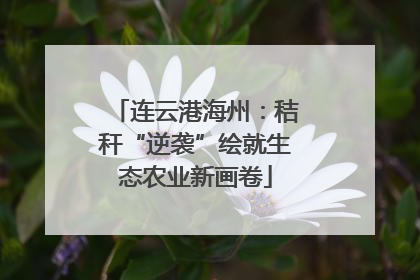 连云港海州：秸秆“逆袭”绘就生态农业新画卷