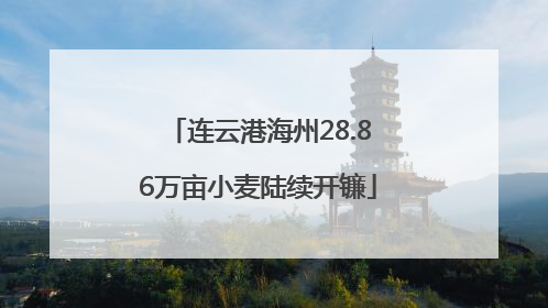 连云港海州28.86万亩小麦陆续开镰