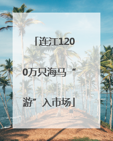 连江1200万只海马“游”入市场