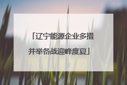 辽宁能源企业多措并举备战迎峰度夏