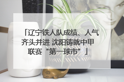 辽宁铁人队成绩、人气齐头并进 沈阳铸就中甲联赛“第一球市”