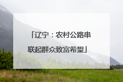 辽宁：农村公路串联起群众致富希望