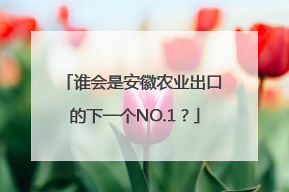 谁会是安徽农业出口的下一个NO.1？