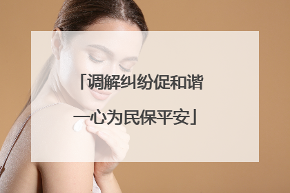 调解纠纷促和谐 一心为民保平安