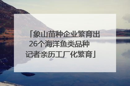 象山苗种企业繁育出26个海洋鱼类品种 记者亲历工厂化繁育