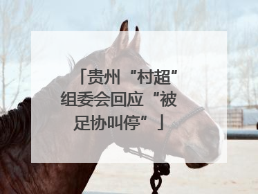 贵州“村超”组委会回应“被足协叫停”
