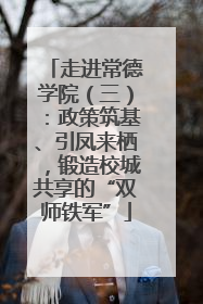 走进常德学院（三）：政策筑基、引凤来栖，锻造校城共享的“双师铁军”