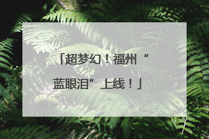 超梦幻！福州“蓝眼泪”上线！