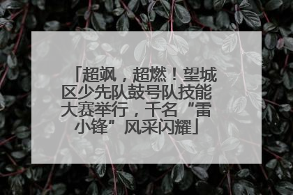 超飒，超燃！望城区少先队鼓号队技能大赛举行，千名“雷小锋”风采闪耀