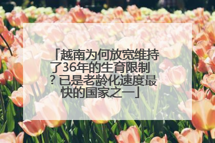 越南为何放宽维持了36年的生育限制？已是老龄化速度最快的国家之一
