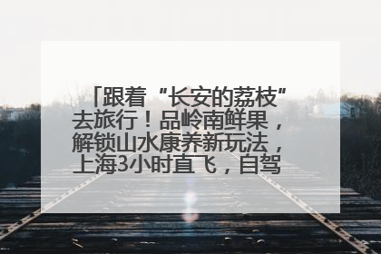 跟着“长安的荔枝”去旅行！品岭南鲜果，解锁山水康养新玩法，上海3小时直飞，自驾高速费优惠