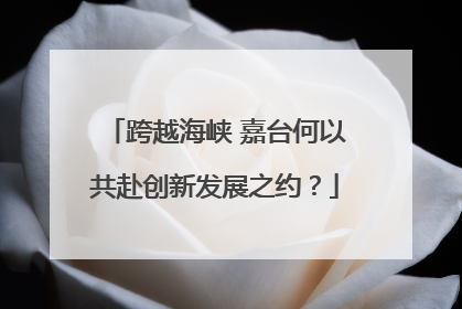 跨越海峡 嘉台何以共赴创新发展之约？