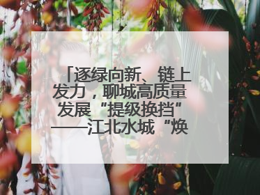 逐绿向新、链上发力，聊城高质量发展“提级换挡”——江北水城“焕新”记