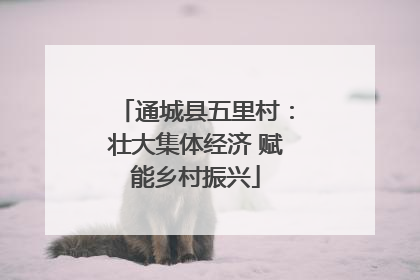 通城县五里村：壮大集体经济 赋能乡村振兴