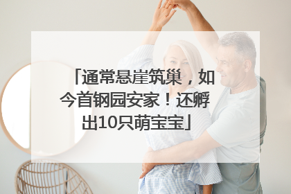 通常悬崖筑巢，如今首钢园安家！还孵出10只萌宝宝