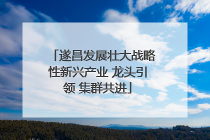 遂昌发展壮大战略性新兴产业 龙头引领 集群共进
