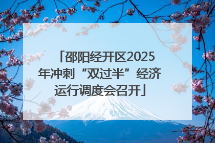 邵阳经开区2025年冲刺“双过半”经济运行调度会召开