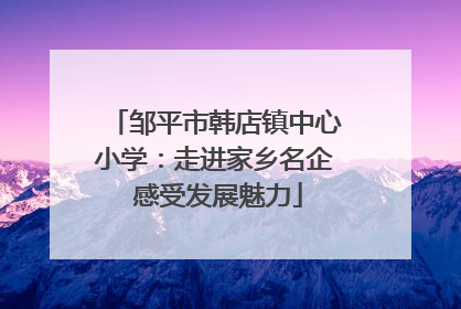 邹平市韩店镇中心小学：走进家乡名企 感受发展魅力