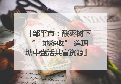 邹平市：酸枣树下“一地多收” 莲藕塘中盘活共富资源