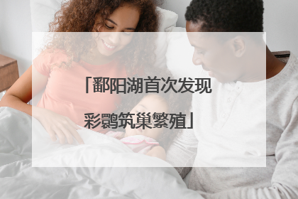 鄱阳湖首次发现彩鹮筑巢繁殖