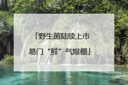野生菌陆续上市 易门“鲜”气爆棚