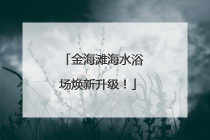 金海滩海水浴场焕新升级！