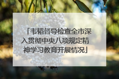韦韬督导检查全市深入贯彻中央八项规定精神学习教育开展情况