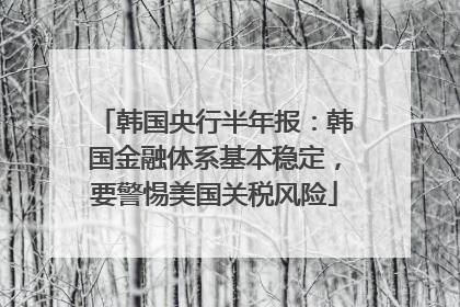 韩国央行半年报：韩国金融体系基本稳定，要警惕美国关税风险