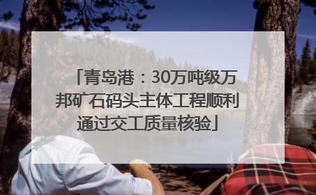 青岛港：30万吨级万邦矿石码头主体工程顺利通过交工质量核验