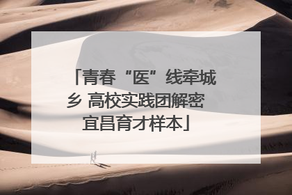 青春“医”线牵城乡 高校实践团解密宜昌育才样本