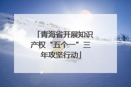 青海省开展知识产权“五个一”三年攻坚行动