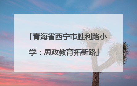 青海省西宁市胜利路小学：思政教育拓新路